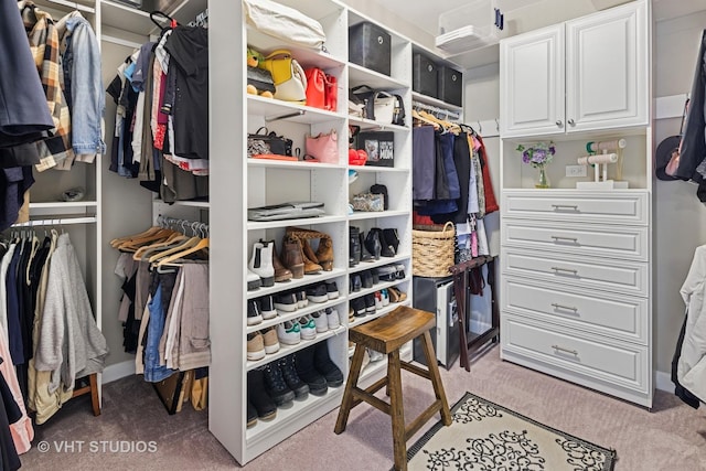 100 E Huron St Unit 4801, Chicago, IL 60611 - spacious closet with light colored carpet