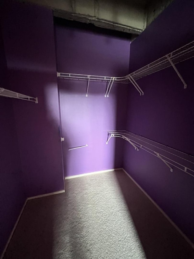 5200 S Ellis Ave Unit 202N, Chicago, IL 60615 - spacious closet with carpet floors