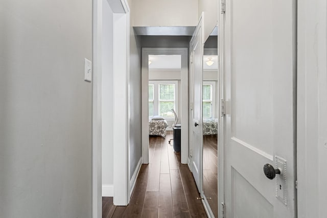 408 N Prairie St Unit 3, Champaign, IL 61820 - hall featuring dark wood-type flooring and baseboards