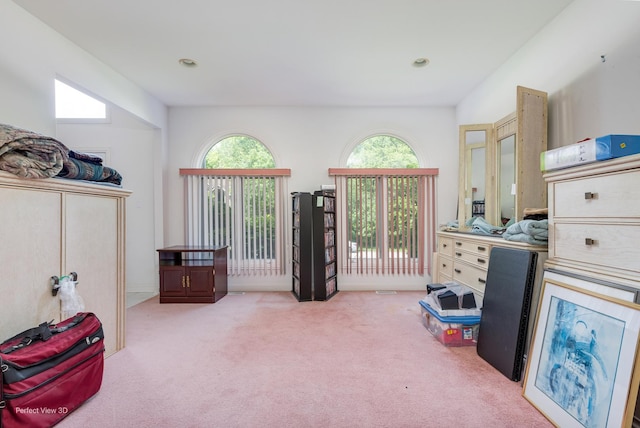 20825 Brookside Blvd, Olympia Fields, IL 60461 - living area with light carpet