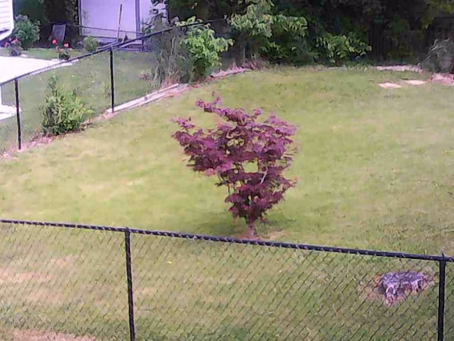 1020 Woodside Dr, Roselle, IL 60172 - view of yard
