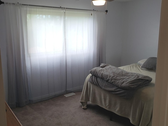 1020 Woodside Dr, Roselle, IL 60172 - carpeted bedroom with a ceiling fan