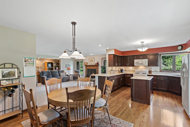 1224 Barclay Cir, Inverness, IL 60010 - dining space featuring a lit fireplace and light wood finished floors