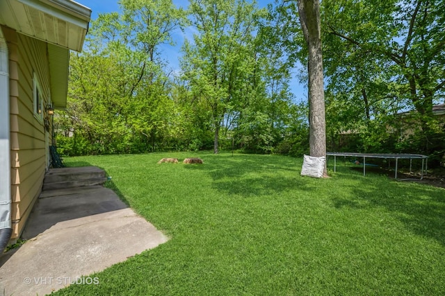 880 Marcella Rd, Merrillville, IN 46410 - view of green lawn featuring a trampoline and view of scattered trees