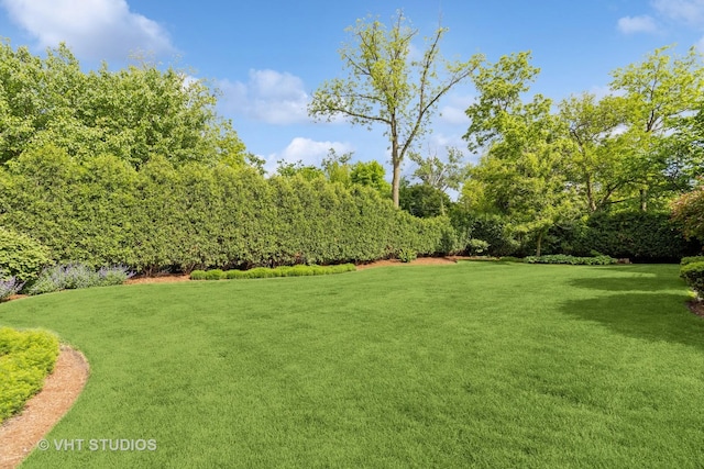 4111 Douglas Rd, Downers Grove, IL 60515 - view of green lawn