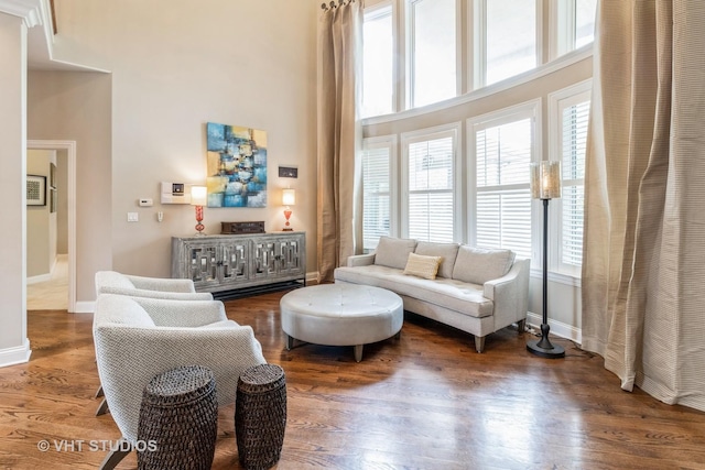 4111 Douglas Rd, Downers Grove, IL 60515 - living room featuring a high ceiling, healthy amount of natural light, baseboards, and wood finished floors