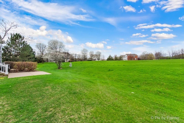 3116 Kyra Ln Unit 3116, Elgin, IL 60124 - view of grassy yard