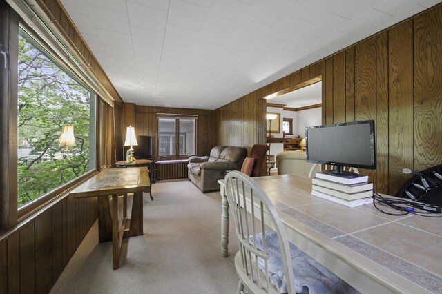 516 Clinton Ave, Oak Park, IL 60304 - office featuring wooden walls, radiator, and light carpet