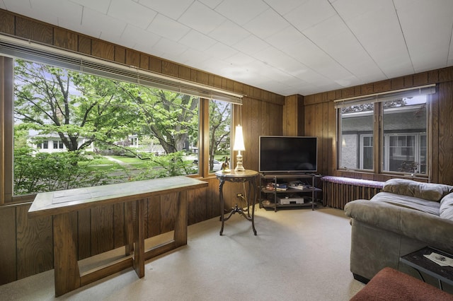516 Clinton Ave, Oak Park, IL 60304 - living room featuring wood walls, carpet flooring, and radiator heating unit