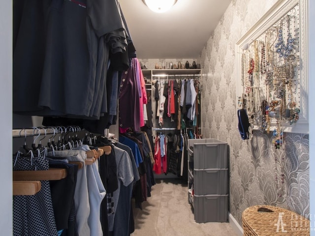 2303 Kentuck Ct, Naperville, IL 60564 - walk in closet with carpet flooring