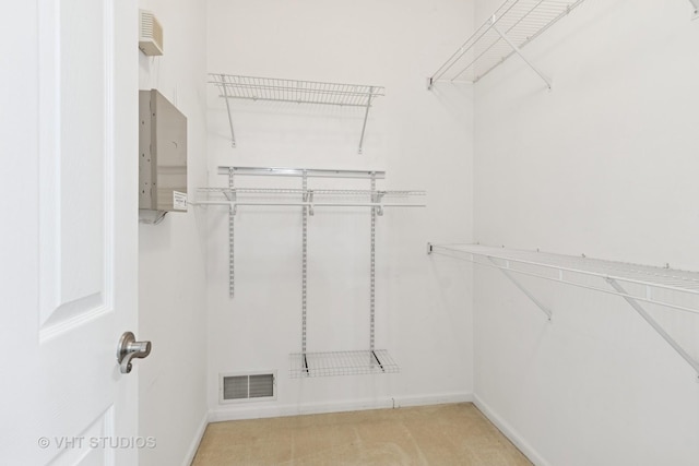 66 N Palazzo Dr, Addison, IL 60101 - walk in closet with carpet flooring and electric panel