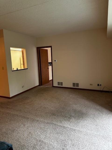 1423 Woodbridge Rd Unit 1F, Joliet, IL 60436 - spare room with carpet, baseboards, and a textured ceiling