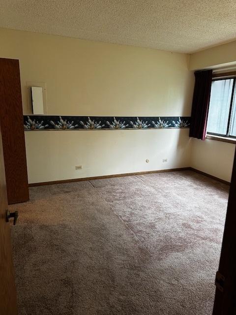 1423 Woodbridge Rd Unit 1F, Joliet, IL 60436 - unfurnished room featuring carpet floors, a textured ceiling, and baseboards