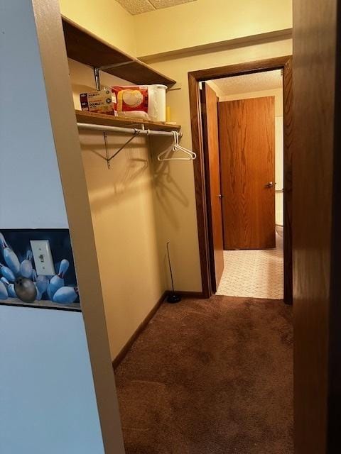1423 Woodbridge Rd Unit 1F, Joliet, IL 60436 - spacious closet featuring carpet floors