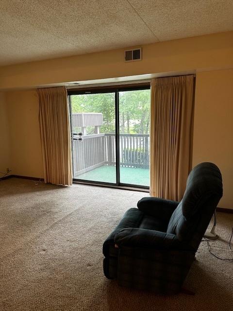 1423 Woodbridge Rd Unit 1F, Joliet, IL 60436 - living area with carpet floors