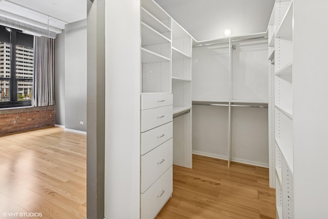 130 S Canal St Unit 216, Chicago, IL 60606 - walk in closet featuring light wood finished floors
