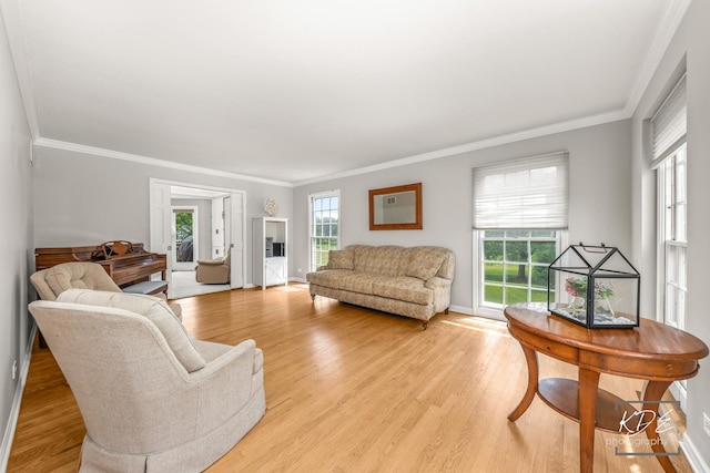 1309 Brunswick Ct, Naperville, IL 60540 - living room with crown molding, light wood-style floors, and baseboards