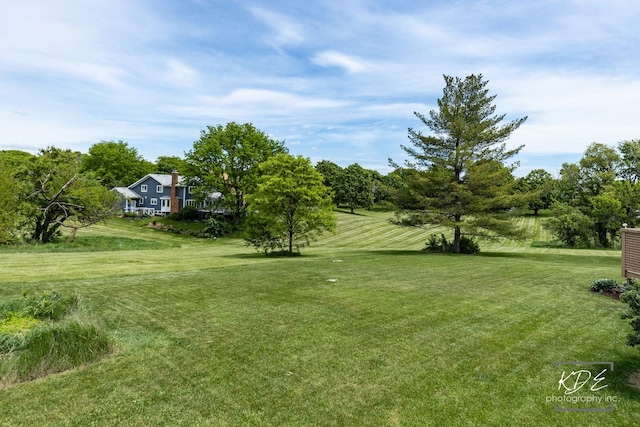1309 Brunswick Ct, Naperville, IL 60540 - view of green lawn