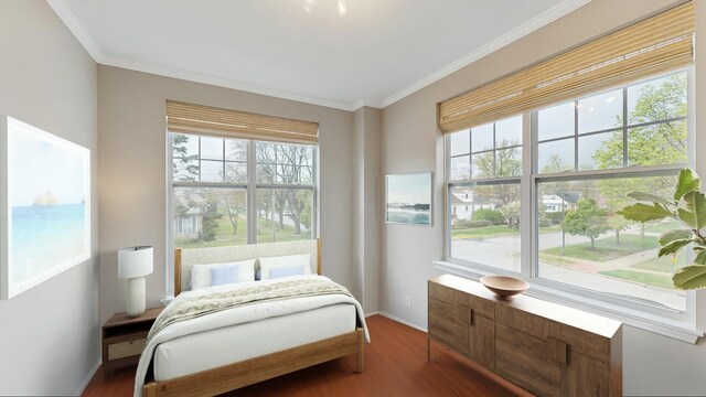 301 N Delphia Ave, Park Ridge, IL 60068 - photo 10