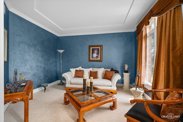 25700 Pastoral Dr, Plainfield, IL 60585 - carpeted living area with plenty of natural light and ornamental molding