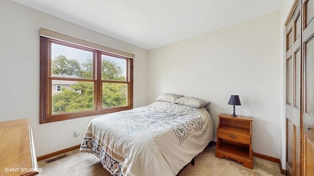 2564 Brockton Cir, Naperville, IL 60565 - bedroom with baseboards, carpet, and a closet