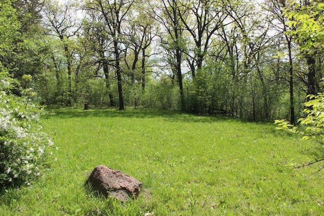 26055 W Wooster Lake Ave, Ingleside, IL 60041 - photo 20