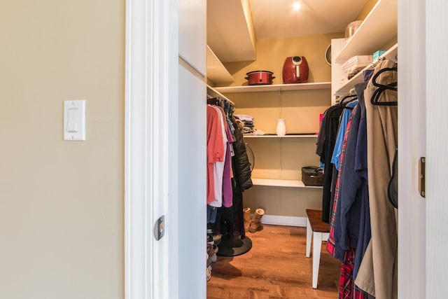 1033 Busse Hwy Unit 1D, Park Ridge, IL 60068 - spacious closet with wood finished floors
