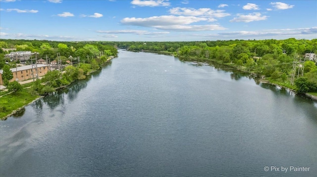 100 N River Ln Unit 409, Geneva, IL 60134 - water view featuring a heavily wooded area