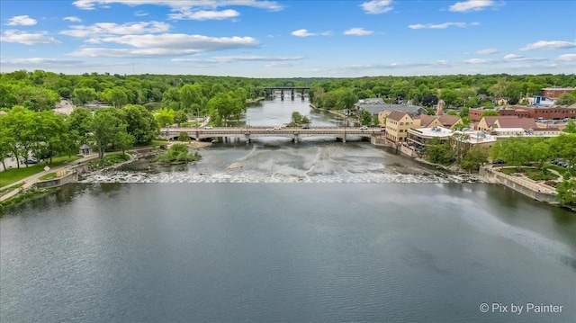 100 N River Ln Unit 409, Geneva, IL 60134 - bird's eye view of a notable bridge, a nearby body of water, and a forest