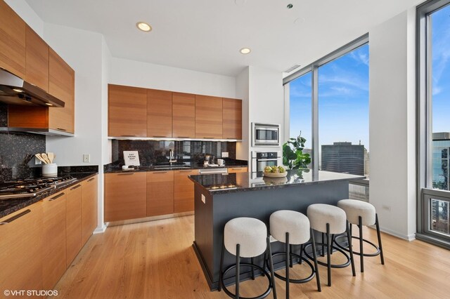 65 E Monroe St Unit 4623, Chicago, IL 60603 - photo 9