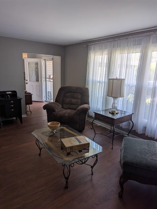 living room with wood finished floors