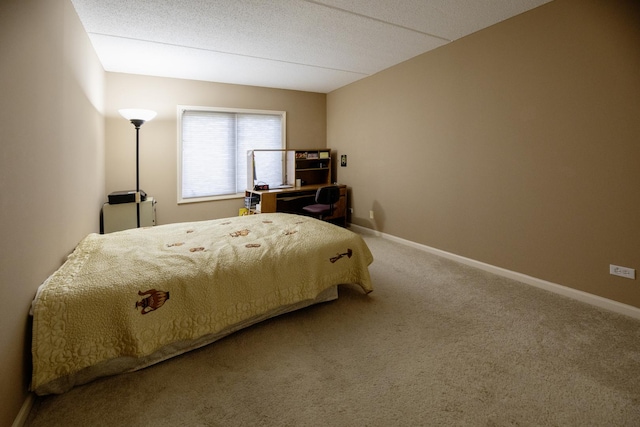 7021 W Touhy Ave Unit 305, Niles, IL 60714 - carpeted bedroom with baseboards