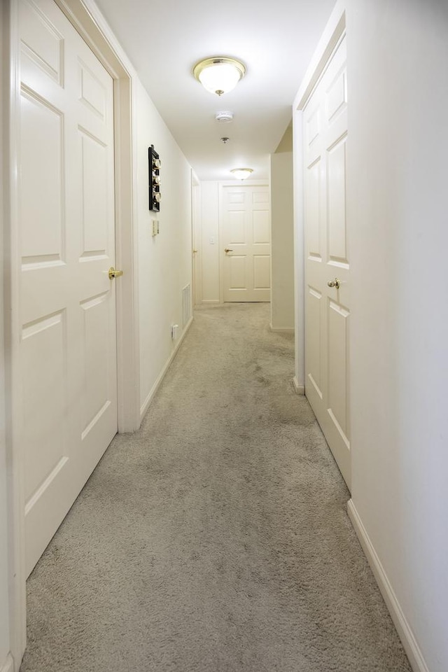 7021 W Touhy Ave Unit 305, Niles, IL 60714 - corridor with carpet floors and baseboards