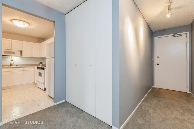 70 W Huron St Unit 1607, Chicago, IL 60654 - hall featuring a sink, light carpet, a textured ceiling, and baseboards