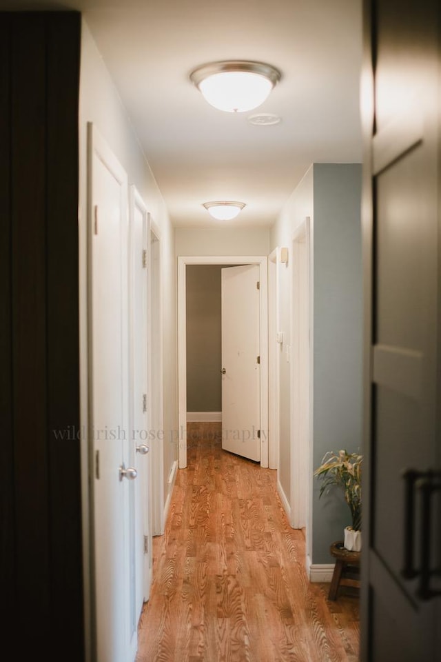 48 Norman St, Kankakee, IL 60901 - hall with light wood-style floors and baseboards