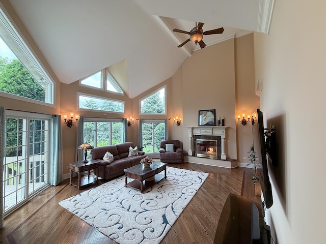 5 Todor Ct, Burr Ridge, IL 60527 - living room featuring high vaulted ceiling, a premium fireplace, wood finished floors, baseboards, and a ceiling fan