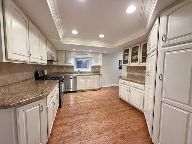 5 Todor Ct, Burr Ridge, IL 60527 - kitchen with appliances with stainless steel finishes, under cabinet range hood, a tray ceiling, ornamental molding, and light wood-type flooring