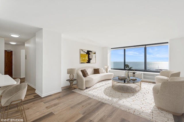 155 N Harbor Dr Unit 610, Chicago, IL 60601 - living area with wood finished floors and baseboards