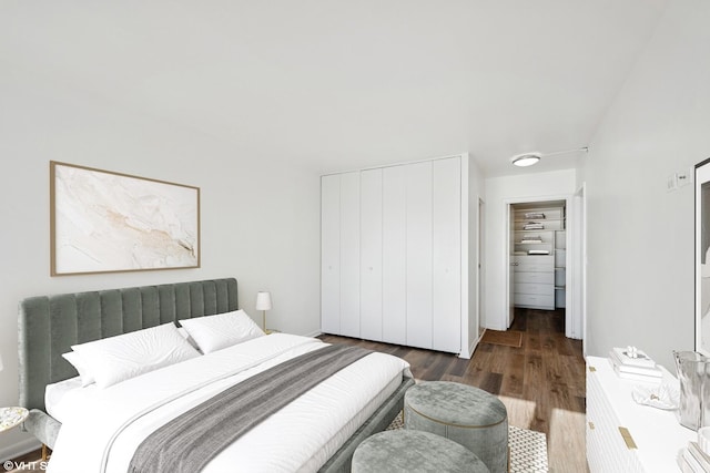 155 N Harbor Dr Unit 610, Chicago, IL 60601 - bedroom with wood finished floors and a closet