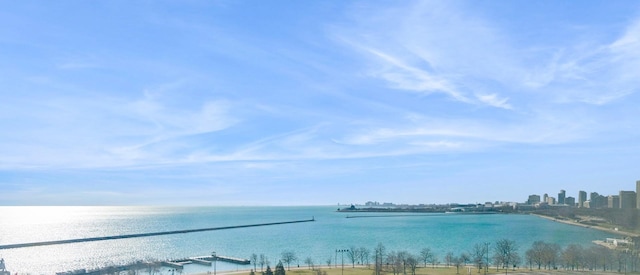 155 N Harbor Dr Unit 610, Chicago, IL 60601 - water view