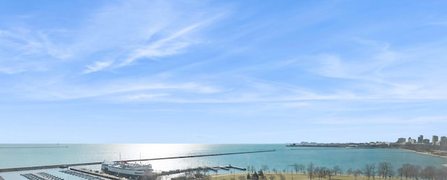 155 N Harbor Dr Unit 610, Chicago, IL 60601 - water view