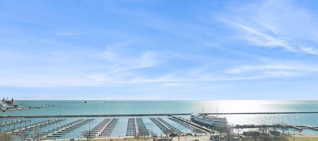 155 N Harbor Dr Unit 610, Chicago, IL 60601 - water view