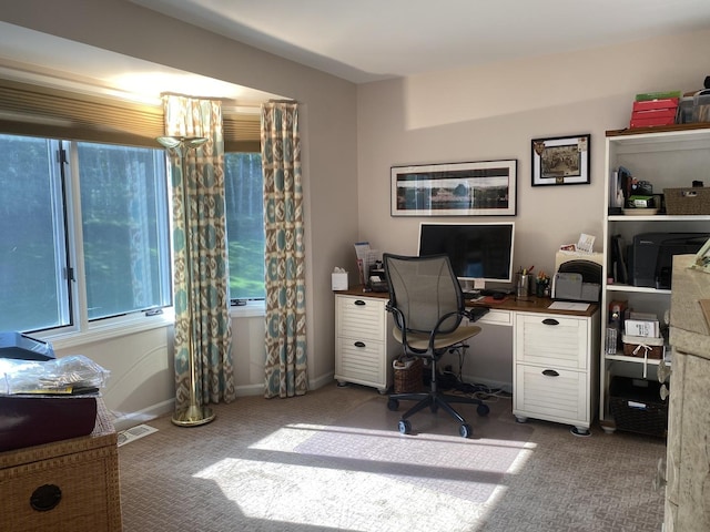 1312 Galloway Dr, Woodstock, IL 60098 - office space with carpet flooring and baseboards