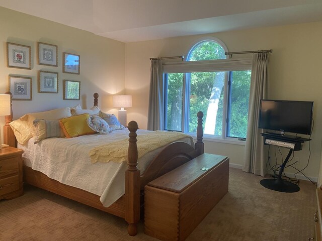 1312 Galloway Dr, Woodstock, IL 60098 - carpeted bedroom featuring multiple windows and baseboards