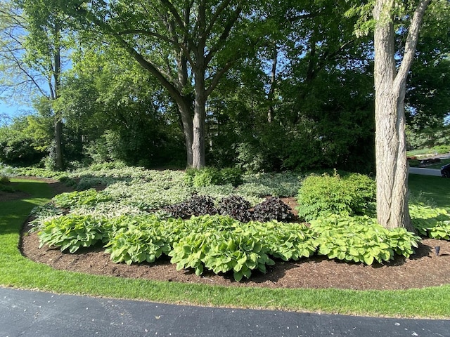 1312 Galloway Dr, Woodstock, IL 60098 - view of yard