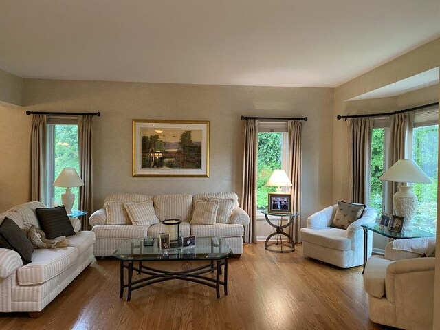 1312 Galloway Dr, Woodstock, IL 60098 - living room featuring wood finished floors