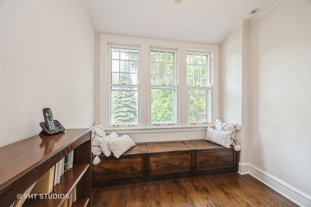 944 Fair Oaks Ave, Oak Park, IL 60302 - living area featuring dark wood-style flooring and vaulted ceiling