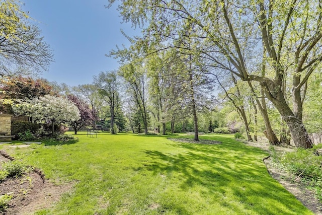 1519 Bull Creek Dr, Libertyville, IL 60048 - photo 48