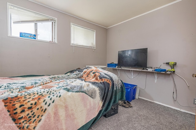 4536 W 79th Pl, Chicago, IL 60652 - carpeted bedroom with ornamental molding and baseboards