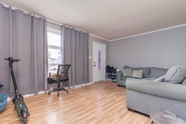 4536 W 79th Pl, Chicago, IL 60652 - living area featuring light wood-style floors and ornamental molding